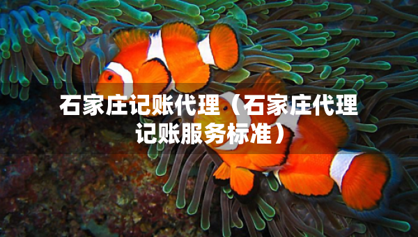 石家莊記賬代理（石家莊代理記賬服務(wù)標(biāo)準(zhǔn)）