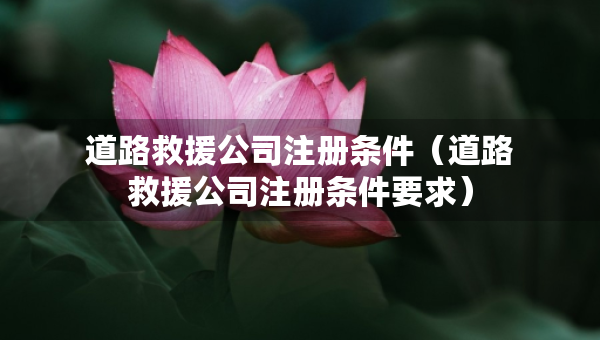 道路救援公司注冊(cè)條件（道路救援公司注冊(cè)條件要求）