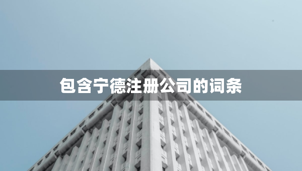 包含寧德注冊公司的詞條