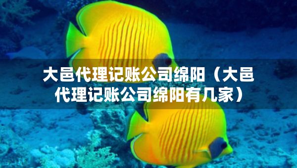 大邑代理記賬公司綿陽（大邑代理記賬公司綿陽有幾家）