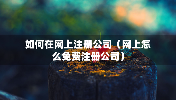 如何在網(wǎng)上注冊公司（網(wǎng)上怎么免費注冊公司）