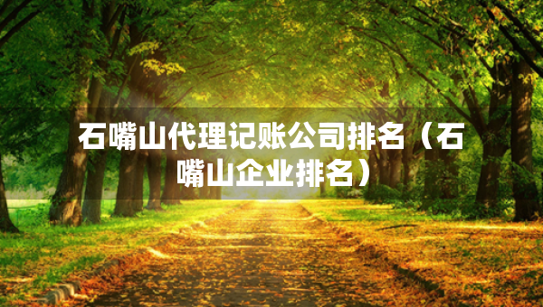 石嘴山代理記賬公司排名（石嘴山企業(yè)排名）