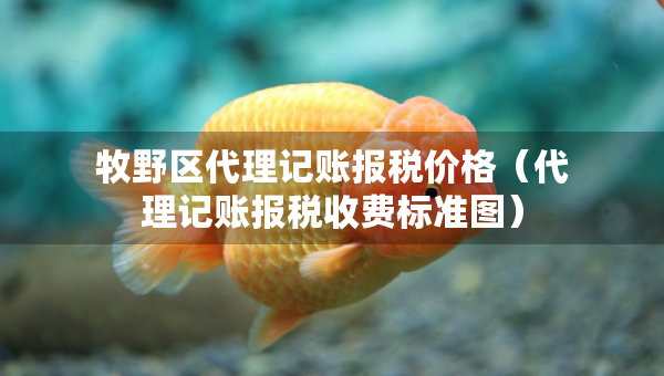 牧野區(qū)代理記賬報(bào)稅價(jià)格（代理記賬報(bào)稅收費(fèi)標(biāo)準(zhǔn)圖）