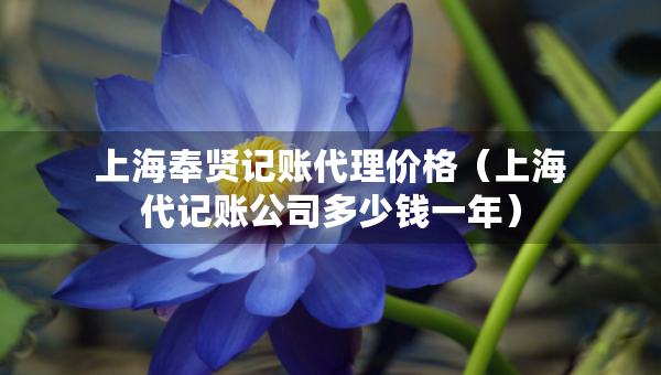 上海奉賢記賬代理價(jià)格（上海代記賬公司多少錢一年）