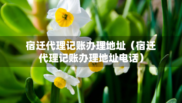 宿遷代理記賬辦理地址（宿遷代理記賬辦理地址電話）