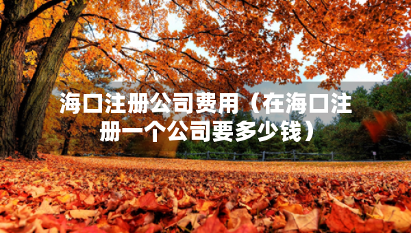 ?？谧?cè)公司費(fèi)用（在?？谧?cè)一個(gè)公司要多少錢）