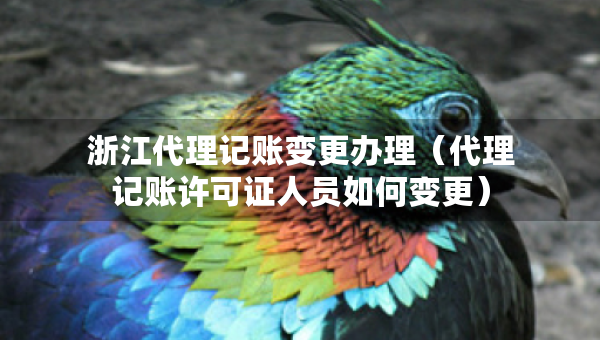 浙江代理記賬變更辦理（代理記賬許可證人員如何變更）
