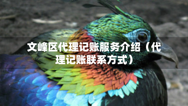 文峰區(qū)代理記賬服務(wù)介紹（代理記賬聯(lián)系方式）