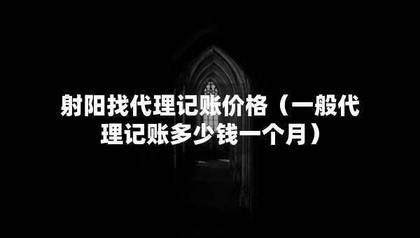 射陽(yáng)找代理記賬價(jià)格（一般代理記賬多少錢(qián)一個(gè)月）