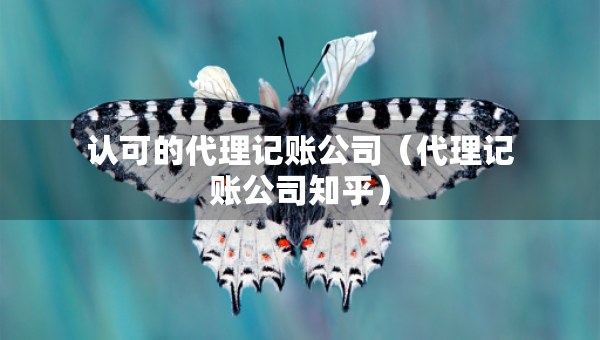認(rèn)可的代理記賬公司（代理記賬公司知乎）