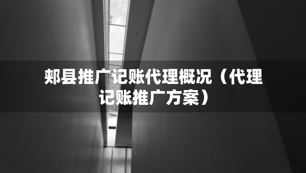 郟縣推廣記賬代理概況（代理記賬推廣方案）