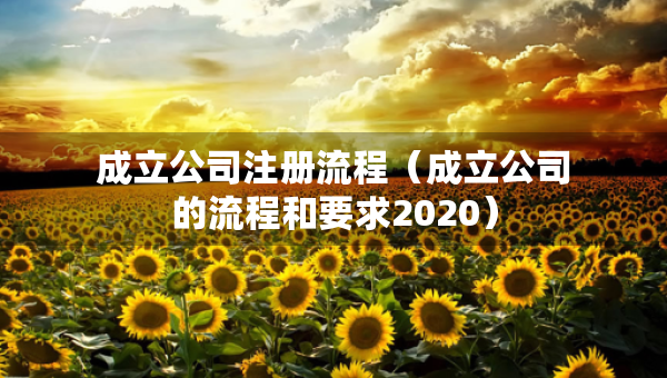 成立公司注冊(cè)流程（成立公司的流程和要求2020）