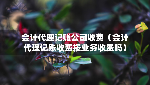 會計代理記賬公司收費（會計代理記賬收費按業(yè)務收費嗎）