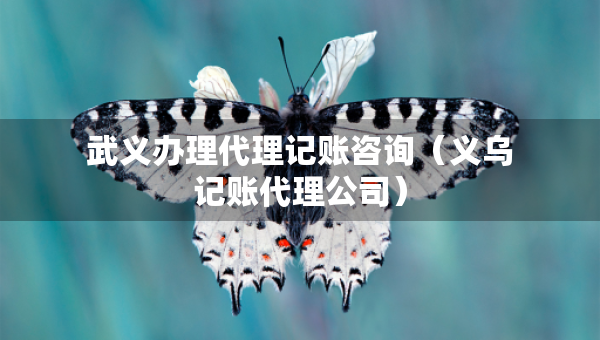 武義辦理代理記賬咨詢（義烏記賬代理公司）