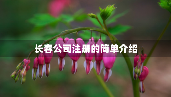 長(zhǎng)春公司注冊(cè)的簡(jiǎn)單介紹