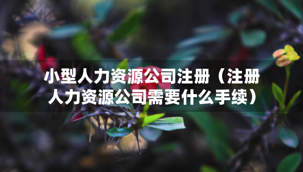 小型人力資源公司注冊（注冊人力資源公司需要什么手續(xù)）