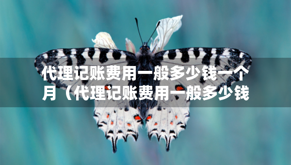 代理記賬費用一般多少錢一個月（代理記賬費用一般多少錢一年）