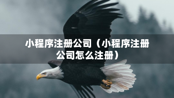 小程序注冊(cè)公司（小程序注冊(cè)公司怎么注冊(cè)）