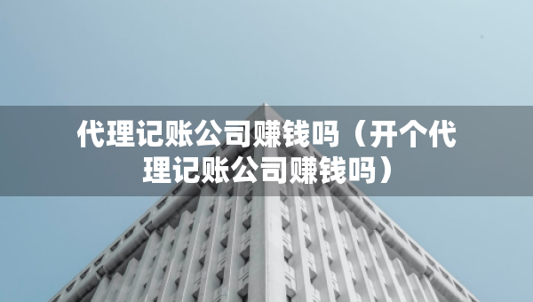 代理記賬公司賺錢(qián)嗎（開(kāi)個(gè)代理記賬公司賺錢(qián)嗎）