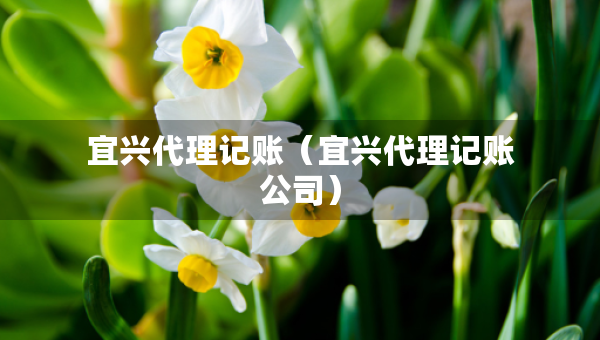 宜興代理記賬（宜興代理記賬公司）