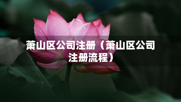 蕭山區(qū)公司注冊(cè)（蕭山區(qū)公司注冊(cè)流程）