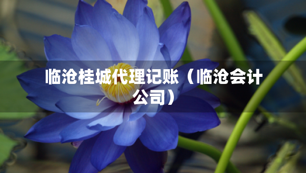 臨滄桂城代理記賬（臨滄會(huì)計(jì)公司）