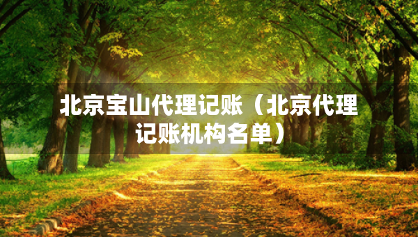 北京寶山代理記賬（北京代理記賬機構(gòu)名單）