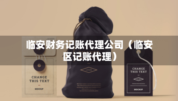 臨安財(cái)務(wù)記賬代理公司（臨安區(qū)記賬代理）
