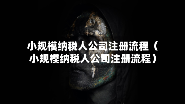 小規(guī)模納稅人公司注冊流程（小規(guī)模納稅人公司注冊流程）