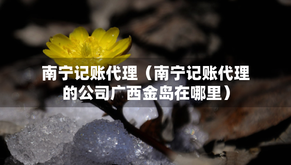南寧記賬代理（南寧記賬代理的公司廣西金島在哪里）