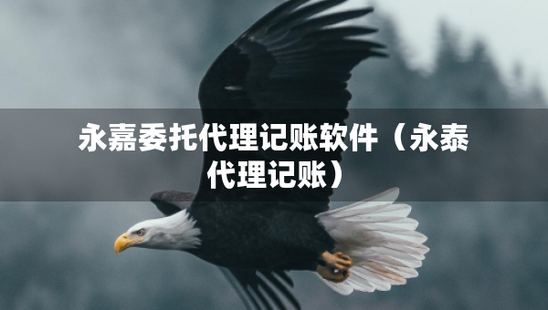 永嘉委托代理記賬軟件（永泰代理記賬）