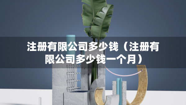 注冊有限公司多少錢（注冊有限公司多少錢一個(gè)月）