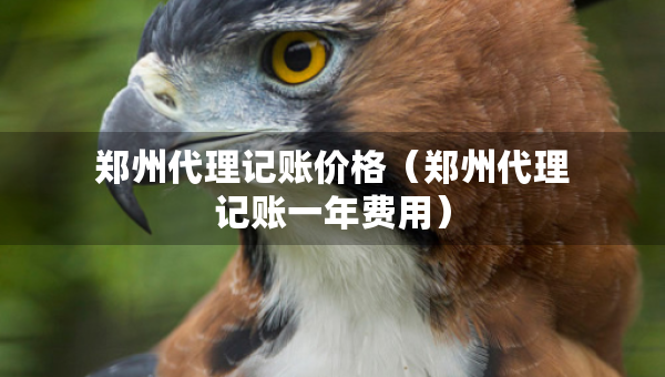 鄭州代理記賬價格（鄭州代理記賬一年費用）