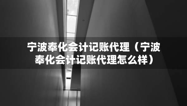 寧波奉化會計記賬代理（寧波奉化會計記賬代理怎么樣）
