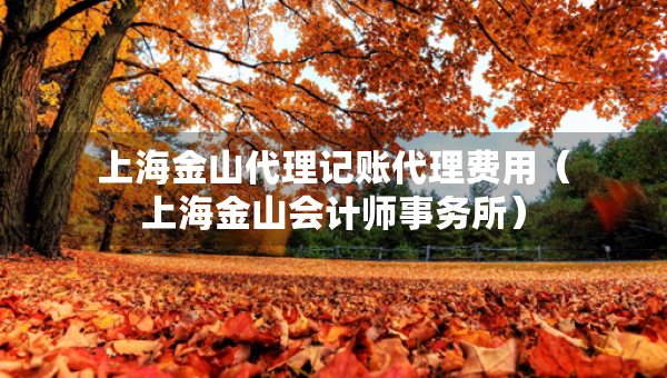上海金山代理記賬代理費用（上海金山會計師事務(wù)所）