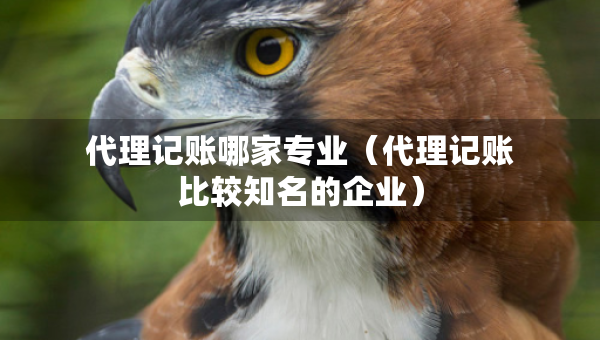 代理記賬哪家專業(yè)（代理記賬比較知名的企業(yè)）