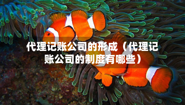 代理記賬公司的形成（代理記賬公司的制度有哪些）