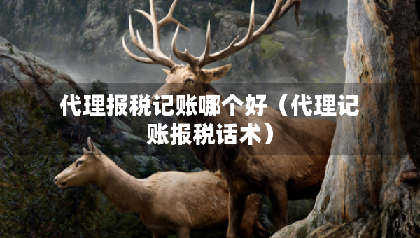 代理報(bào)稅記賬哪個(gè)好（代理記賬報(bào)稅話術(shù)）