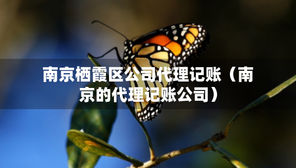 南京棲霞區(qū)公司代理記賬（南京的代理記賬公司）