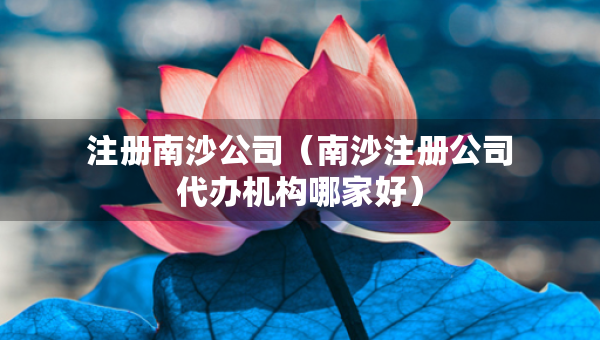 注冊南沙公司（南沙注冊公司代辦機(jī)構(gòu)哪家好）