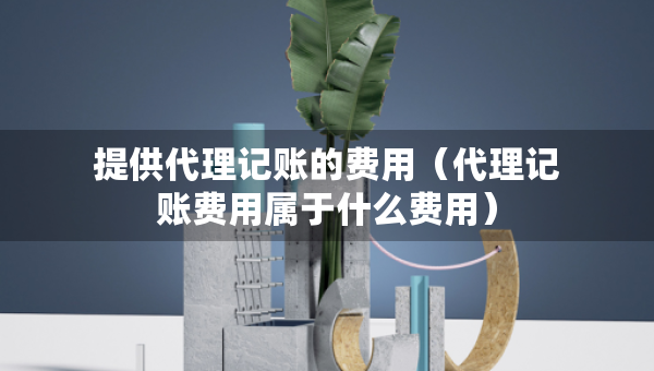 提供代理記賬的費(fèi)用（代理記賬費(fèi)用屬于什么費(fèi)用）