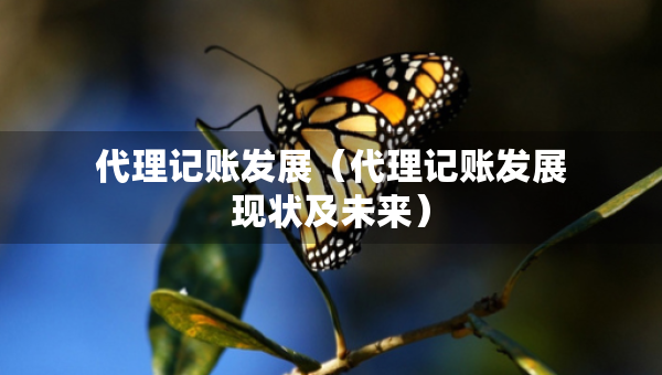 代理記賬發(fā)展（代理記賬發(fā)展現(xiàn)狀及未來(lái)）