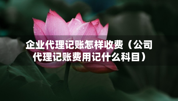 企業(yè)代理記賬怎樣收費(fèi)（公司代理記賬費(fèi)用記什么科目）