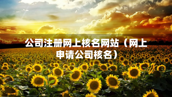 公司注冊網(wǎng)上核名網(wǎng)站（網(wǎng)上申請公司核名）
