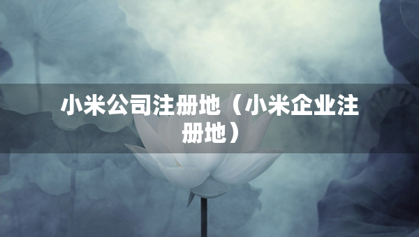 小米公司注冊地（小米企業(yè)注冊地）