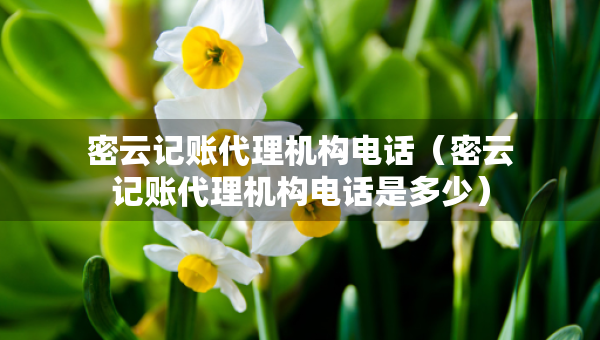密云記賬代理機構電話（密云記賬代理機構電話是多少）