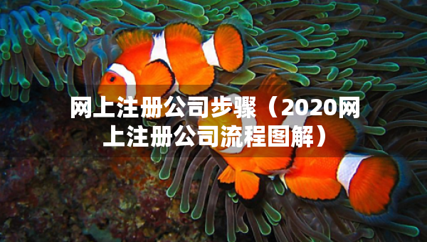 網(wǎng)上注冊公司步驟（2020網(wǎng)上注冊公司流程圖解）