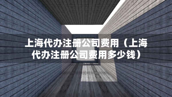 上海代辦注冊公司費用（上海代辦注冊公司費用多少錢）