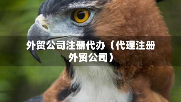 外貿(mào)公司注冊(cè)代辦（代理注冊(cè)外貿(mào)公司）