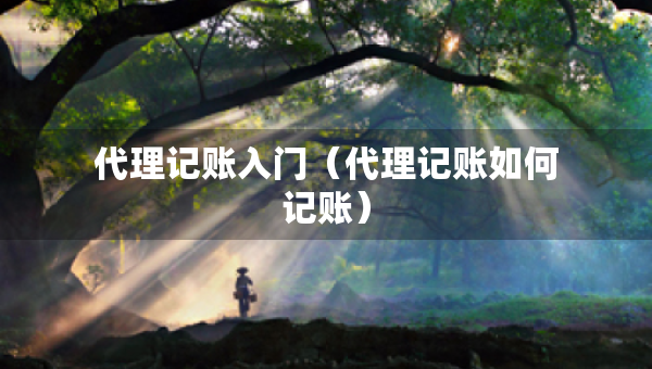 代理記賬入門（代理記賬如何記賬）